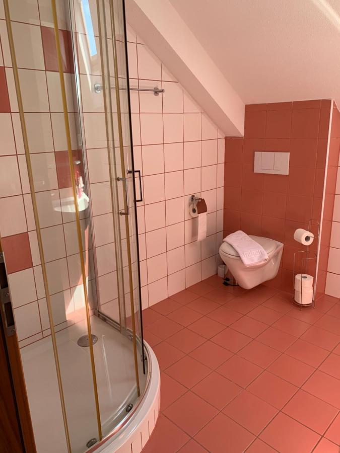 Eltako Penzion Karlovy Vary Dış mekan fotoğraf